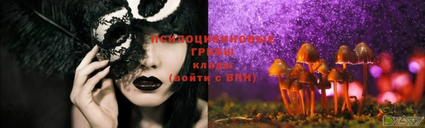 дмт Балабаново