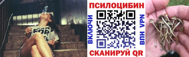 Галлюциногенные грибы ЛСД  Печора 